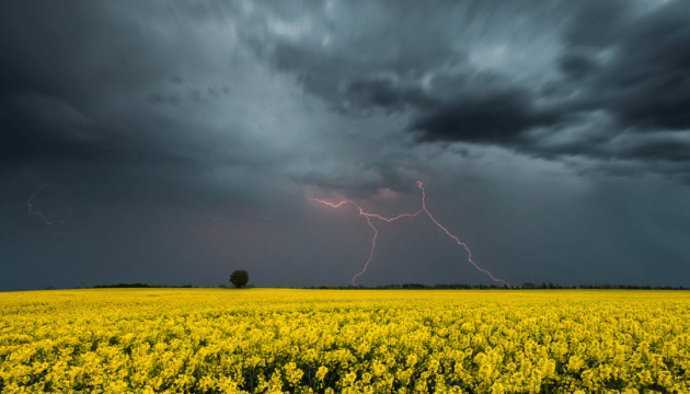 Частину України накриють дощі з грозами: в які області прийде негода 29 квітня ➤ Prozoro.net.ua