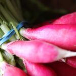 Кому нельзя есть редис: врачи назвали серьезный побочный эффект ➤ Prozoro.net.ua