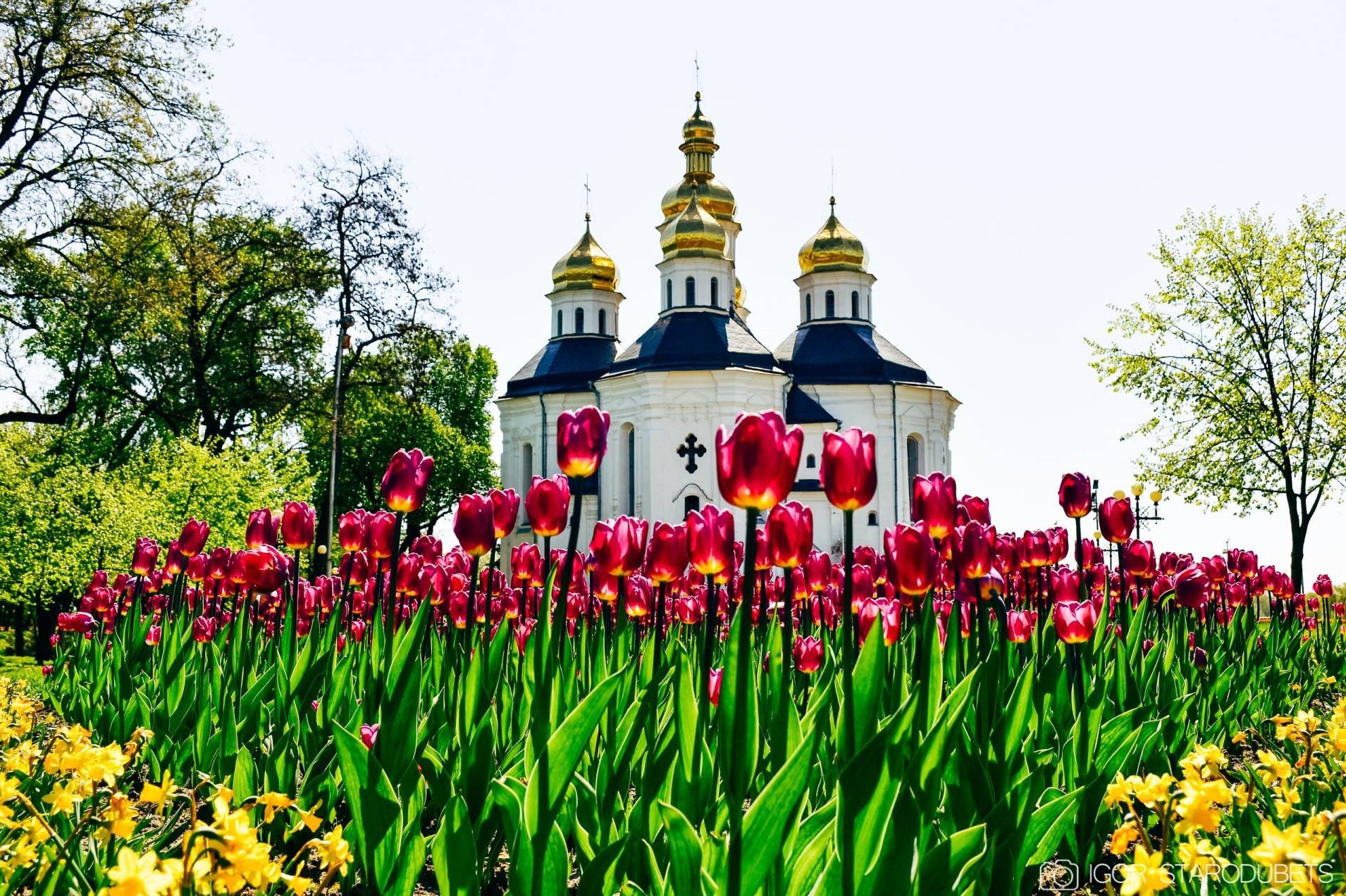Коли в Україну прийде справжнє тепло: прогноз синоптика
