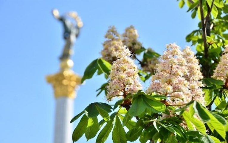 У Києві за місяць зафіксували 13 температурних рекордів ➤ Prozoro.net.ua