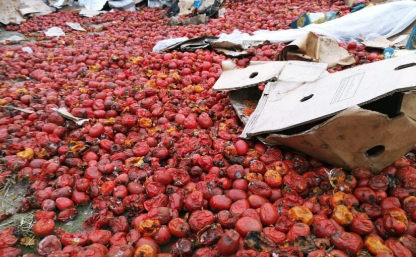 В РФ сотни тонн овощей оказались на свалке из-за войны в Украине ➤ Prozoro.net.ua
