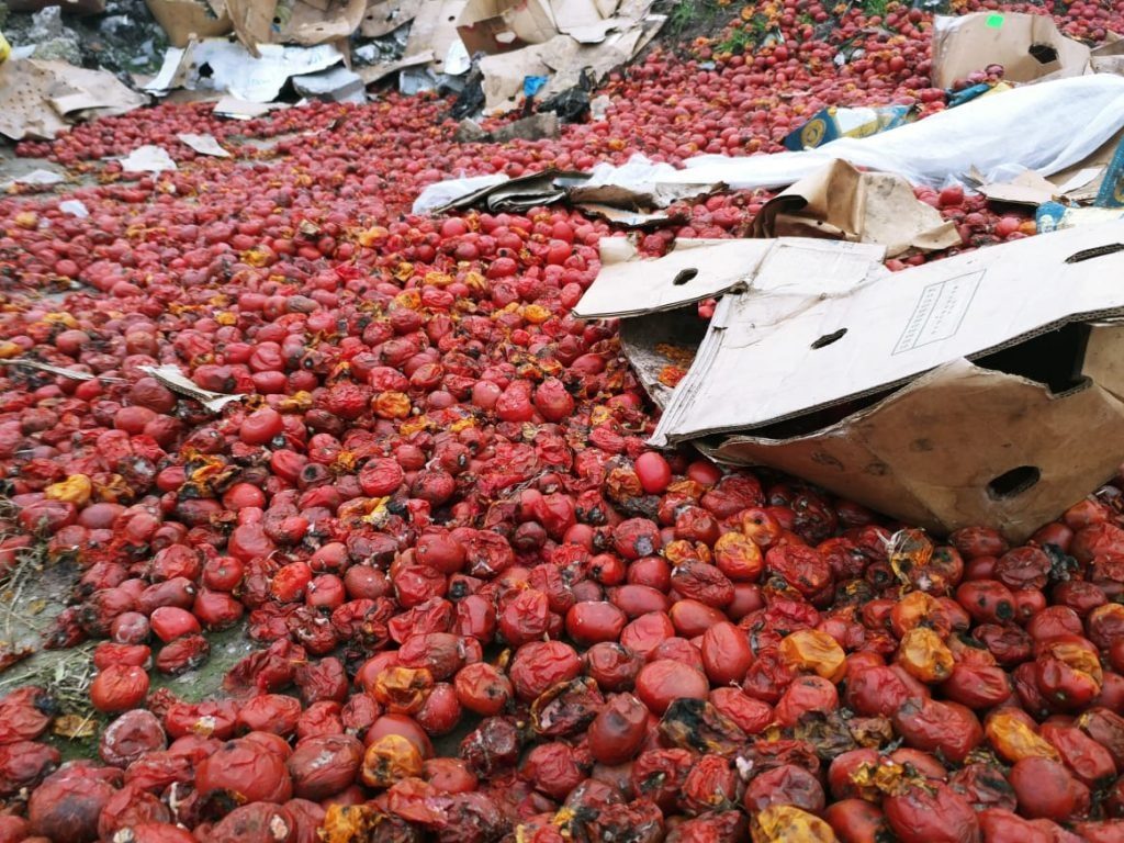 В РФ сотни тонн овощей оказались на свалке из-за войны в Украине ➤ Prozoro.net.ua