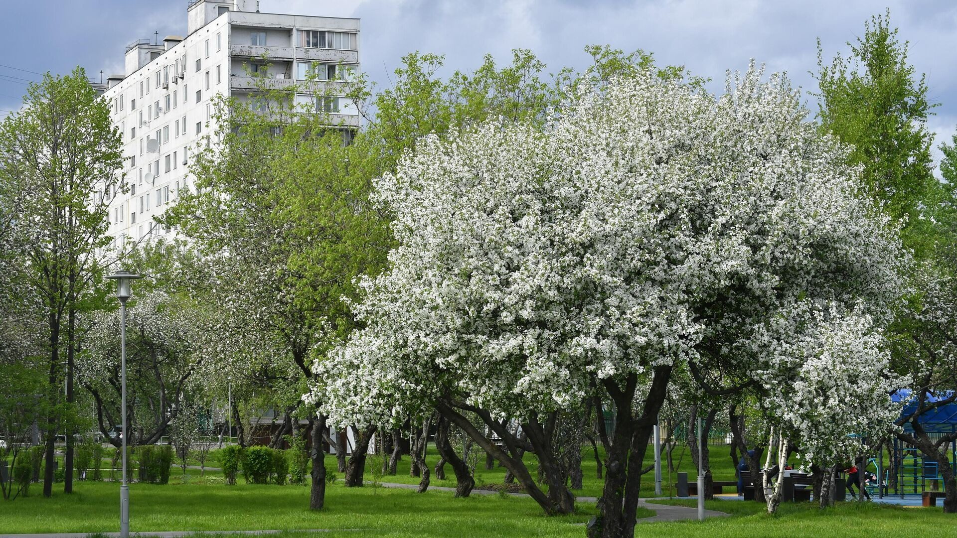 Коли в Україну прийде справжнє тепло: прогноз синоптика ➤ Prozoro.net.ua