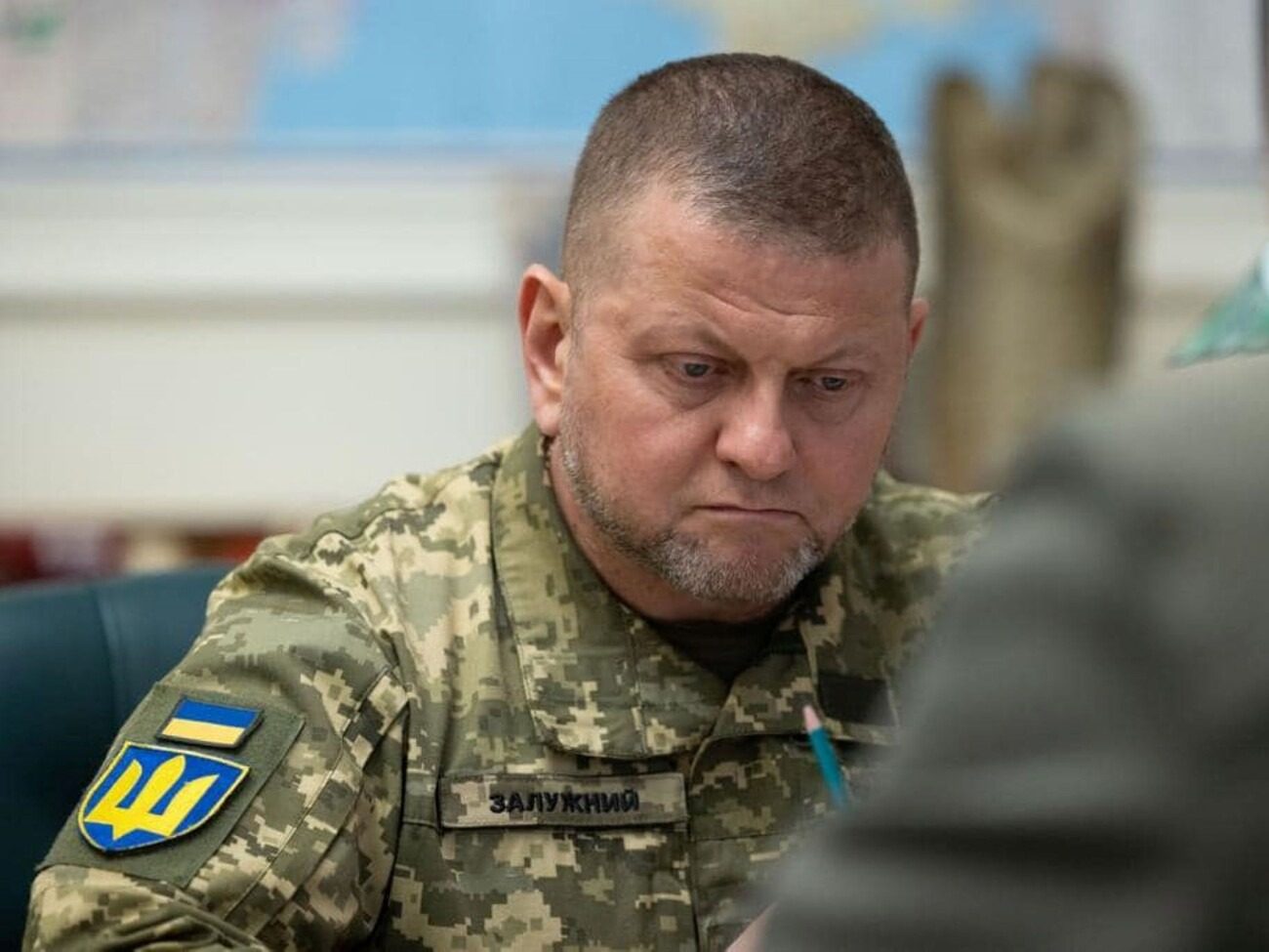 Залужный ответил, планирует ли стать президентом Украины