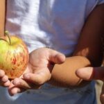 Про це знають одиниці. Кому категорично не можна їсти яблука ➤ Prozoro.net.ua