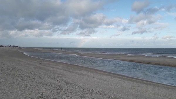 Азовское море в Мариуполе на сотни метров отошло от берега (видео)