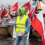 Фермери у Польщі виходять на нові протести. Причина у полуниці ➤ Prozoro.net.ua