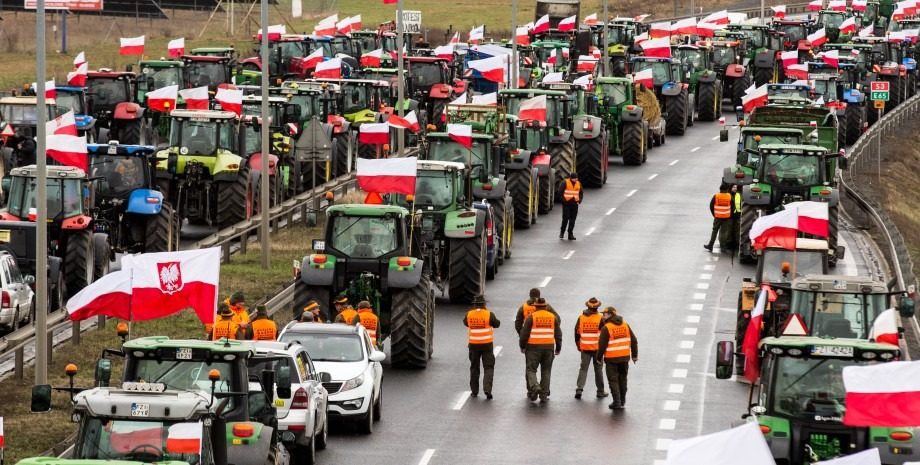 Фермеры в Польше выходят на новые протесты. Причина в клубнике