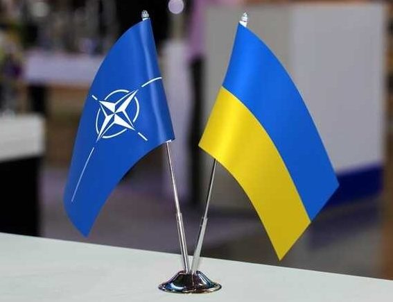 Когда Украина станет членом НАТО – прогноз посла Германии ➤ Prozoro.net.ua