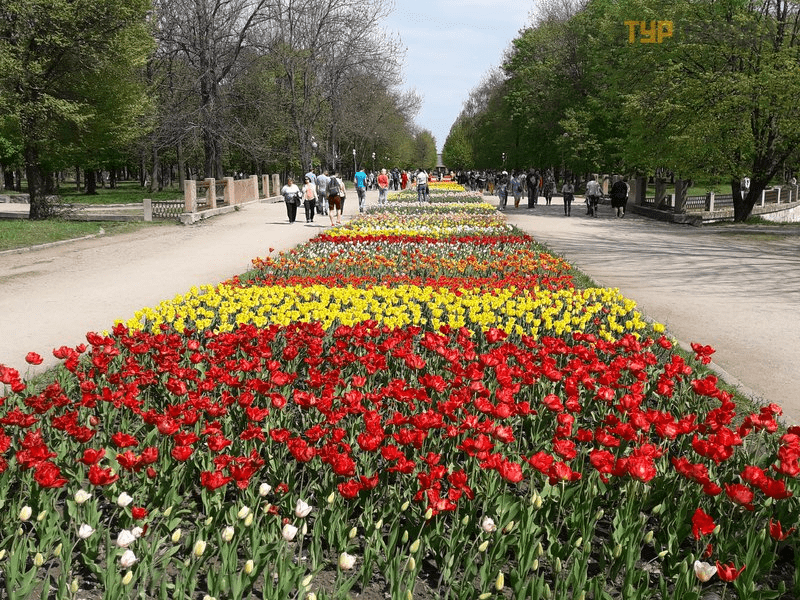 Відчути весну: 4 українські парки, де можна помилуватися цвітінням квітів 4 Відчути весну: 4 українські парки, де можна помилуватися цвітінням квітів