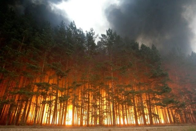 Карма для РФ: горить столиця Бурятії, полум’я лізе на будинки (відео) ➤ Prozoro.net.ua