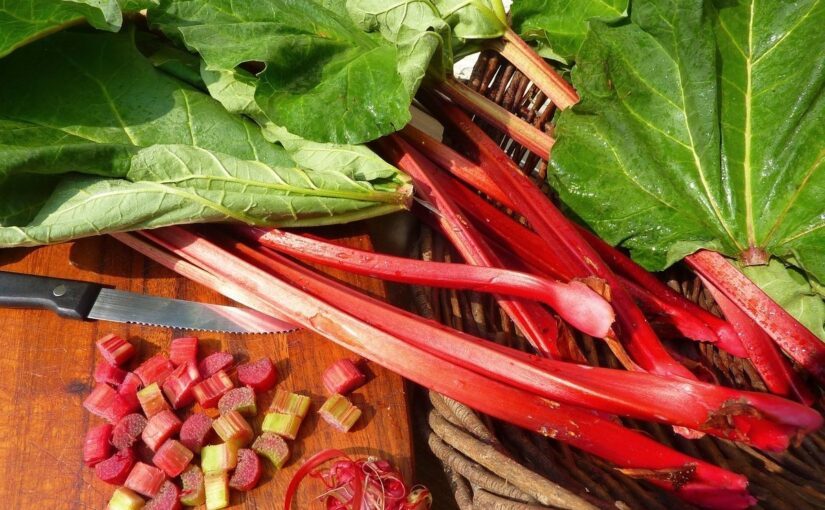 Користь ревеню для здоров’я: чим може здивувати цей овоч ➤ Prozoro.net.ua
