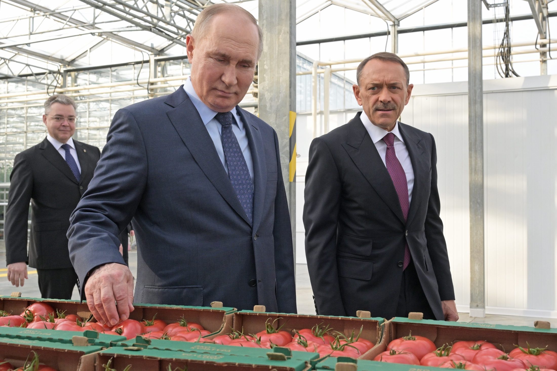 Путину показали работа, умеющего срывать помидоры: фото