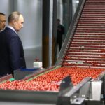 Путіну показали робота, який вміє зривати помідори: фото ➤ Prozoro.net.ua