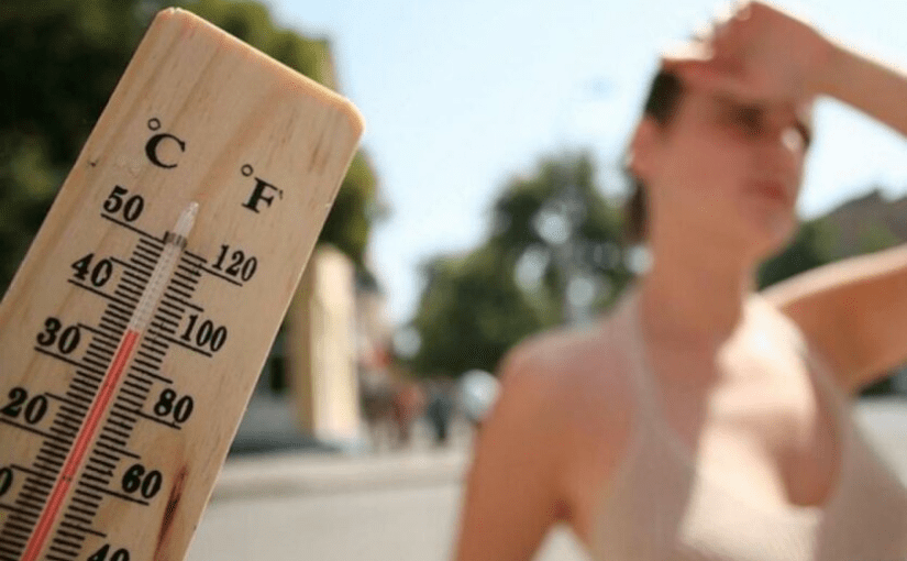 Чи буде цього літа аномальна спека: прогноз синоптика ➤ Prozoro.net.ua