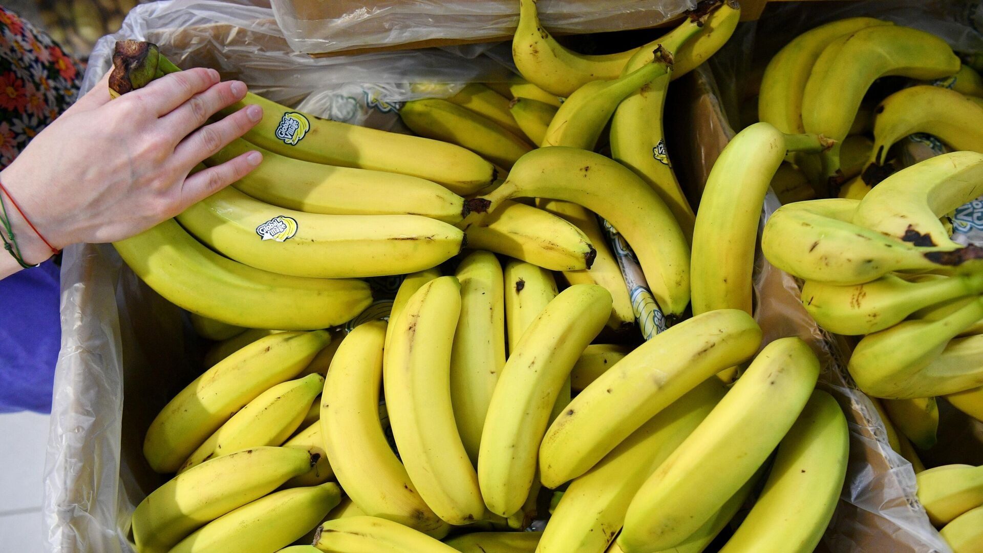 Випливла правда про банани: навіть читати страшно