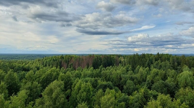 Стало відомо, кому хочуть віддати особливо цінні землі України