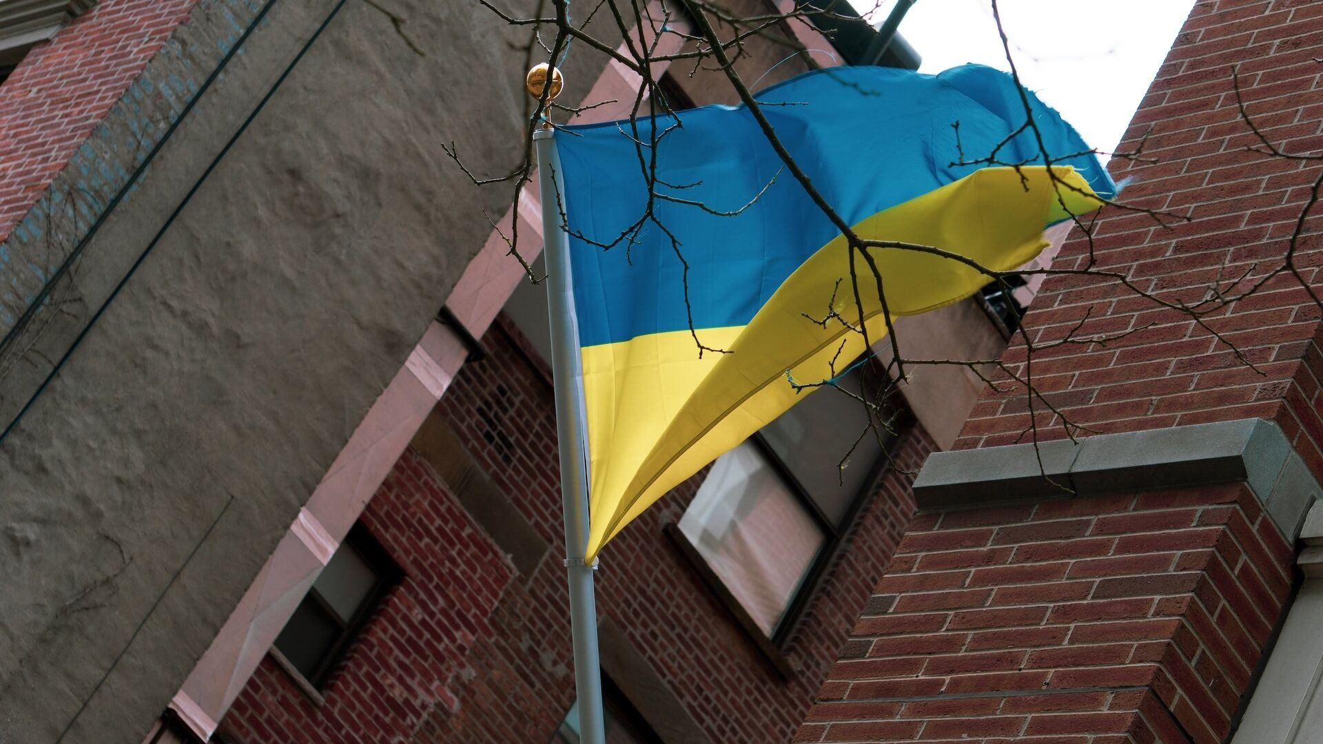 Налоговая получит доступ к данным о счетах украинцев за границей ➤ Prozoro.net.ua