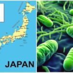 Нова смертельна загроза після COVID-19: в Японії поширюється “м’ясоїдна” бактерія ➤ Prozoro.net.ua