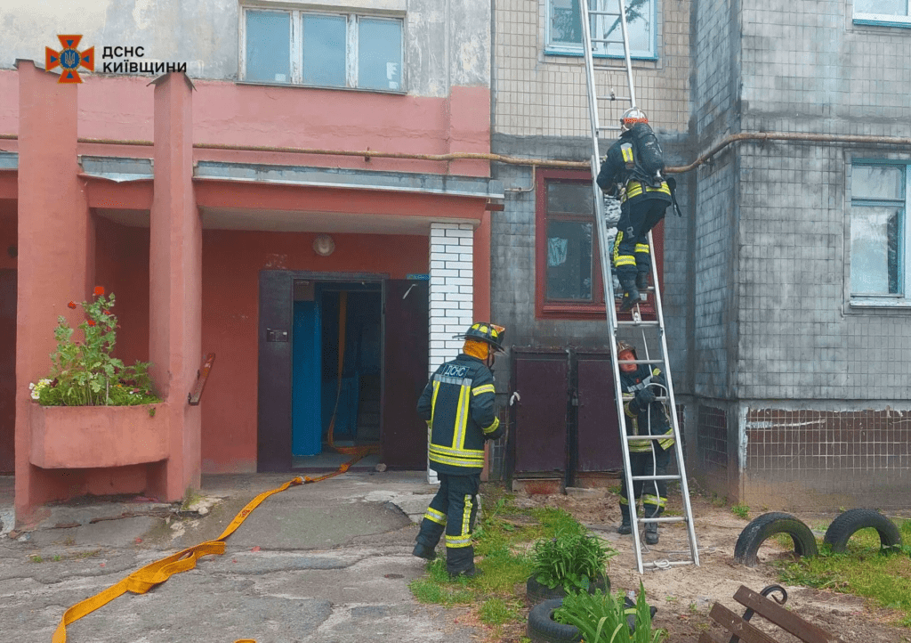 У Броварах двоє кошенят і квартира ледь не згоріли через недбалість господарів 3 У Броварах двоє кошенят і квартира ледь не згоріли через недбалість господарів