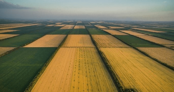 В Україні стрімко здорожчала земля: яка зараз ціна за гектар ➤ Prozoro.net.ua