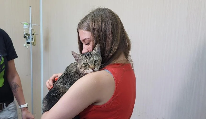 Історія кота, який вижив під час удару по Києву, отримала щасливий кінець 3 Історія кота, який вижив під час удару по Києву, отримала щасливий кінець