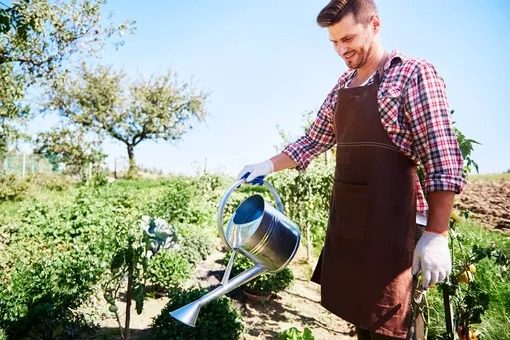 Ужасные последствия: почему нельзя работать на даче в новолуние