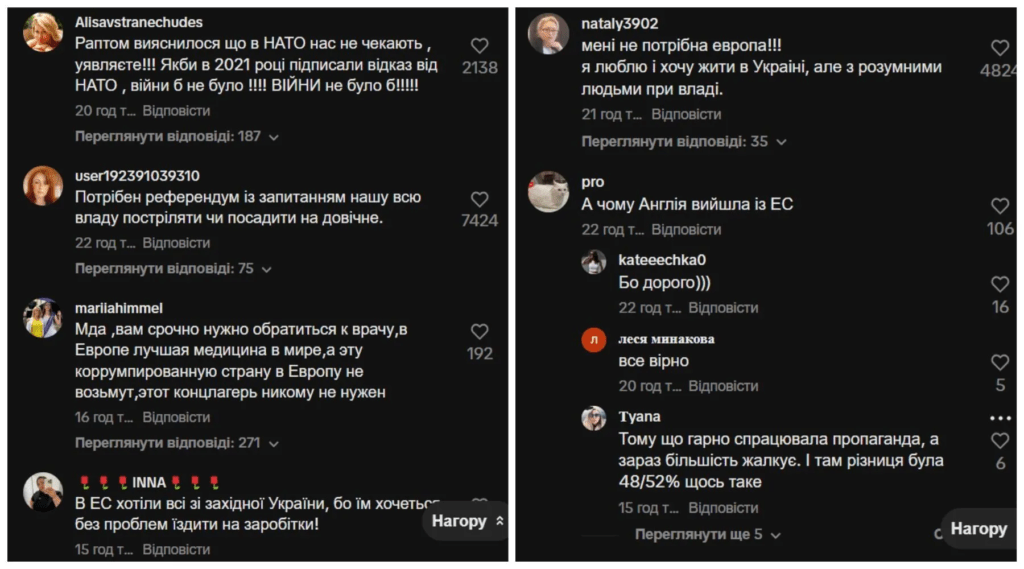 Анастасія Приходько виступила проти вступу України в ЄС