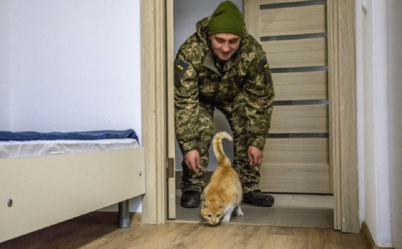 Українські військові можуть отримати безкоштовне житло: які умови ➤ Prozoro.net.ua