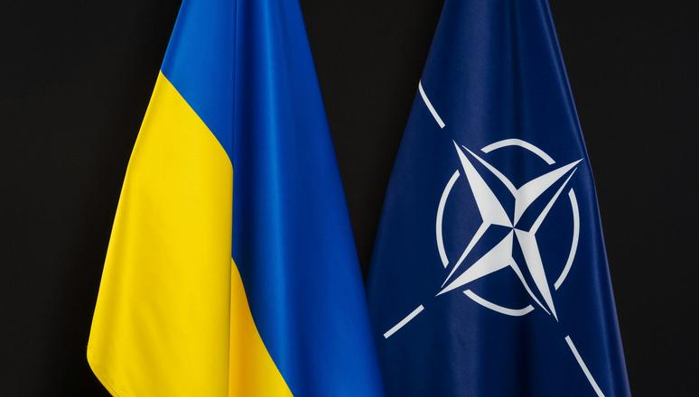 Країни НАТО могли б захищати небо над Україною: Зеленський   ➤ Prozoro.net.ua