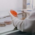 В Индии распространяется смертельный вирус, от которого нет вакцины ➤ Prozoro.net.ua