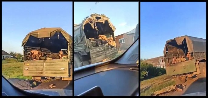 “Скільки пацанів”: відео розбитої HIMARS колони РФ на Курщині