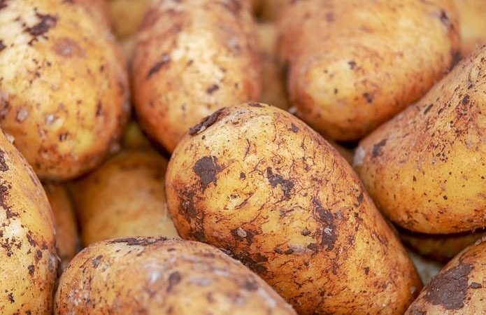 В Україні дорожчає картопля: ціни побили п’ятирічний рекорд