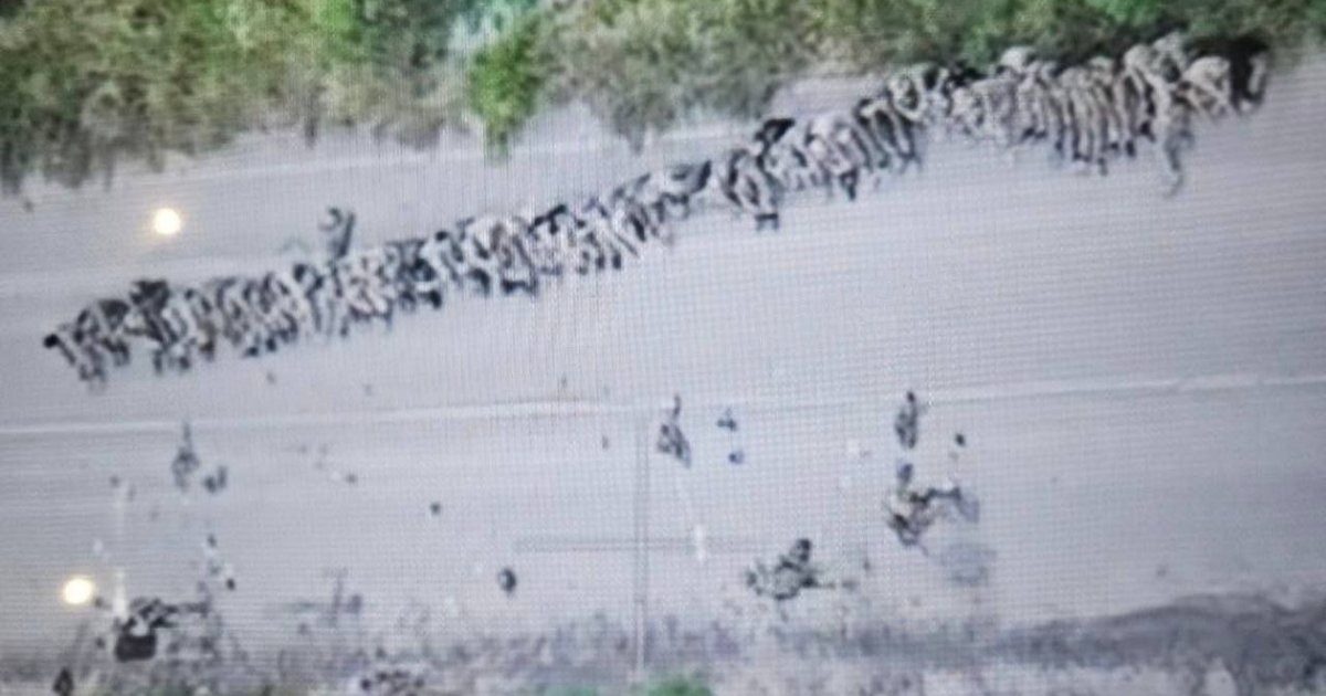 Чотири бійці ЗСУ полонили понад 40 солдатів РФ у Курській області ➤ Prozoro.net.ua