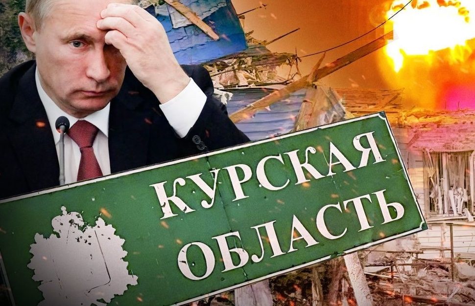 Подсчитаны потери РФ и КНДР в Курской области ➤ Prozoro.net.ua