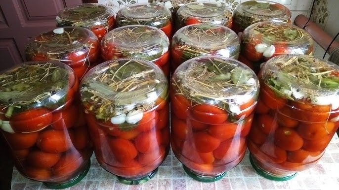 Шикарные квашеные помидоры в ведре: будут готовы через 4 дня