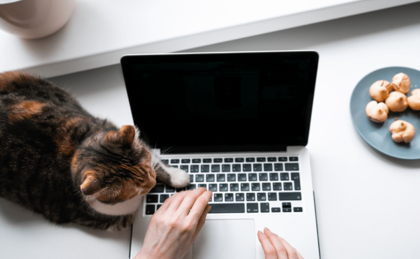 Кому в Україні готові платити більше 40 тисяч за роботу з дому ➤ Prozoro.net.ua