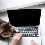 За кем сейчас «охотятся» работодатели в Украине ➤ Prozoro.net.ua