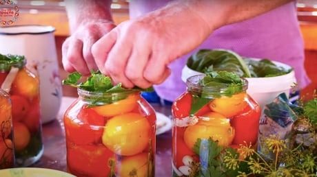Квашеные помидоры по рецепту папы: лучшее на зиму