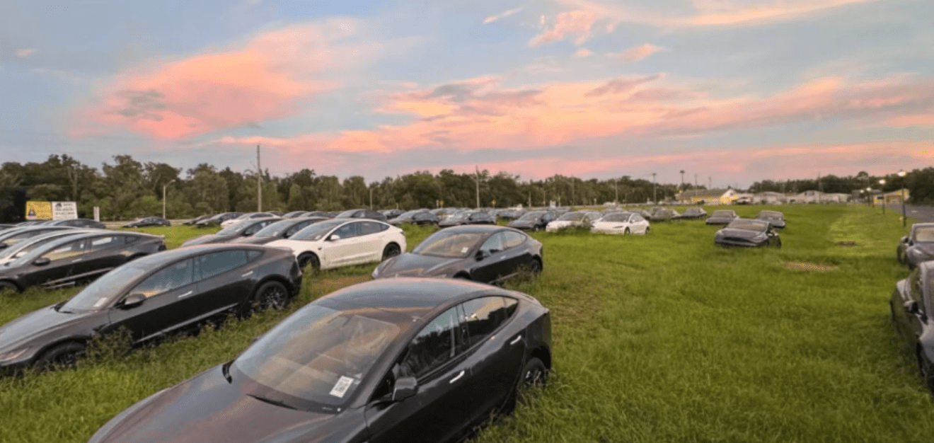 Сотни новых электрокаров Tesla бросили в поле (фото)