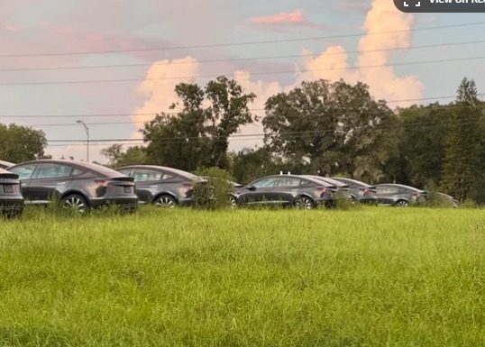 Сотни новых электрокаров Tesla бросили в поле (фото)