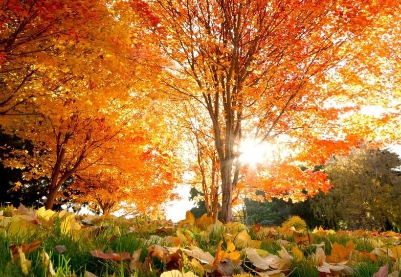 Астролог назвав Зодіаків, яким жовтень стресу не принесе