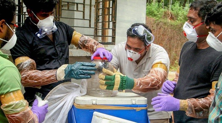 Смертельний вірус Nipah: хвороба поширюється, є жертви