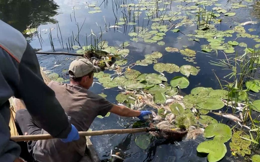 Що відомо про отруєння росіянами Десни та Сейму