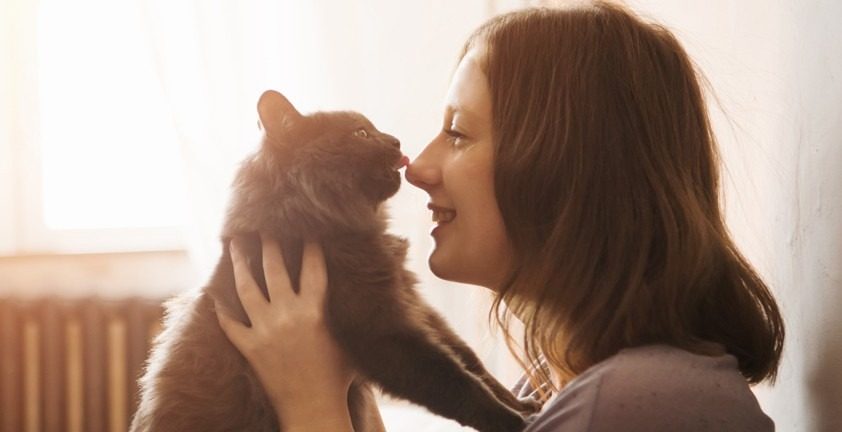 Как узнать кого в вашей семье кошка любит больше: верные признаки