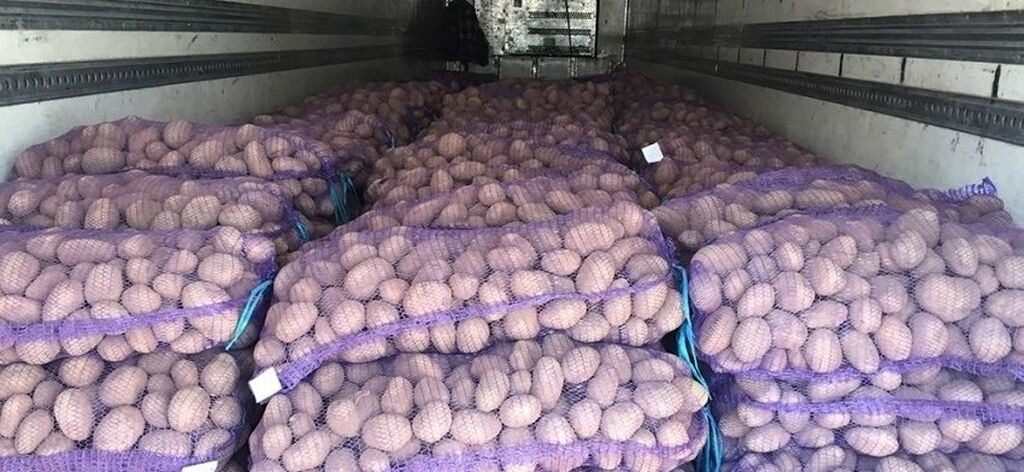 На 150% выше: в Украине взлетели цены на картошку