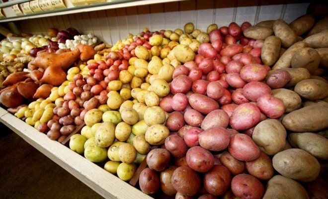 На 150% выше: в Украине взлетели цены на картошку