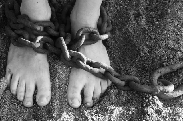 У Росії знайшли ферму з рабами, серед яких був учасник війни в Україні ➤ Prozoro.net.ua
