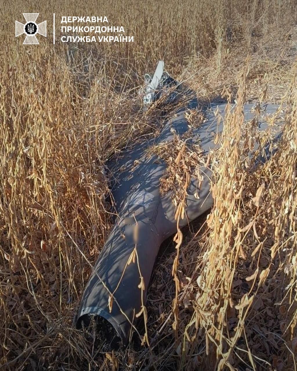 Пограничники в Сумской области сбили вражеский дрон из стрелкового оружия
