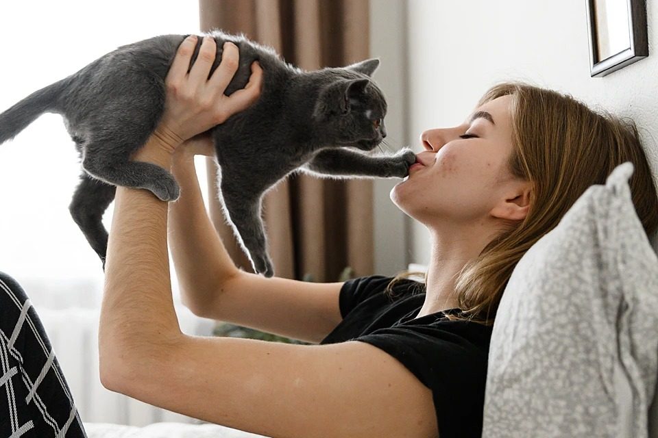 Как узнать кого в вашей семье кошка любит больше: верные признаки ➤ Prozoro.net.ua